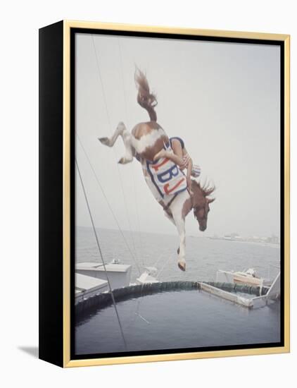 Horse with LBJ Banner Diving into the Water at Atlantic City-Art Rickerby-Framed Premier Image Canvas