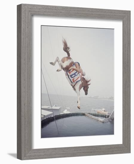 Horse with LBJ Banner Diving into the Water at Atlantic City-Art Rickerby-Framed Photographic Print