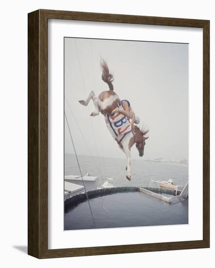 Horse with LBJ Banner Diving into the Water at Atlantic City-Art Rickerby-Framed Photographic Print