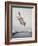 Horse with LBJ Banner Diving into the Water at Atlantic City-Art Rickerby-Framed Photographic Print