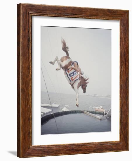 Horse with LBJ Banner Diving into the Water at Atlantic City-Art Rickerby-Framed Photographic Print