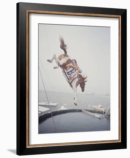 Horse with LBJ Banner Diving into the Water at Atlantic City-Art Rickerby-Framed Photographic Print