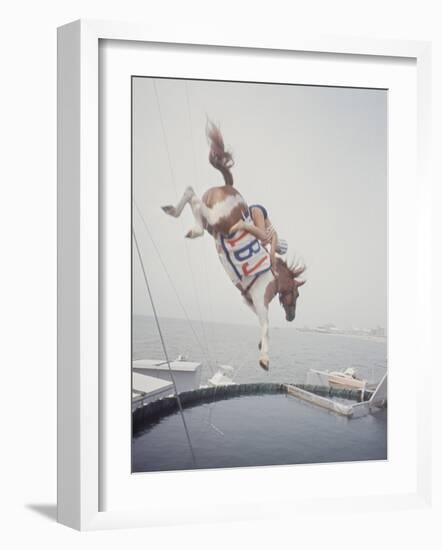 Horse with LBJ Banner Diving into the Water at Atlantic City-Art Rickerby-Framed Photographic Print