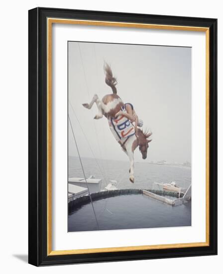 Horse with LBJ Banner Diving into the Water at Atlantic City-Art Rickerby-Framed Photographic Print