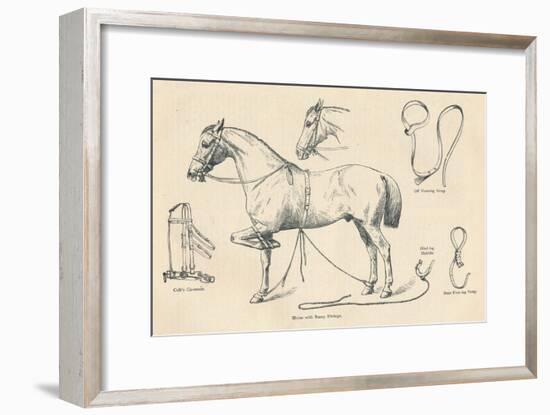 Horse with Rarey fittings, c1905 (c1910)-Unknown-Framed Giclee Print