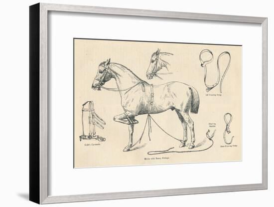 Horse with Rarey fittings, c1905 (c1910)-Unknown-Framed Giclee Print