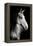 Horse-Fabio Petroni-Framed Premier Image Canvas