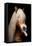 Horse-Fabio Petroni-Framed Premier Image Canvas