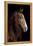 Horse-Fabio Petroni-Framed Premier Image Canvas