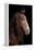 Horse-Fabio Petroni-Framed Premier Image Canvas