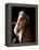 Horse-Fabio Petroni-Framed Premier Image Canvas