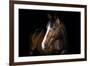 Horse-Fabio Petroni-Framed Photographic Print