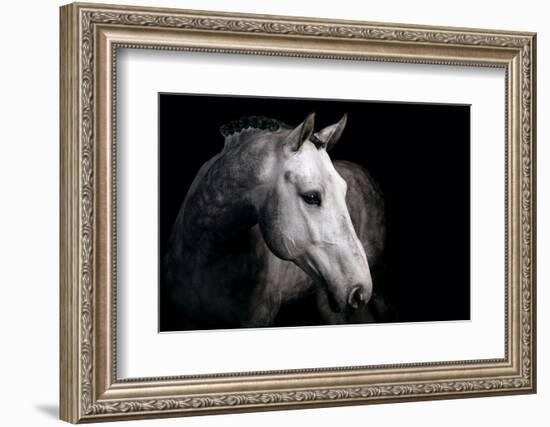 Horse-Fabio Petroni-Framed Photographic Print