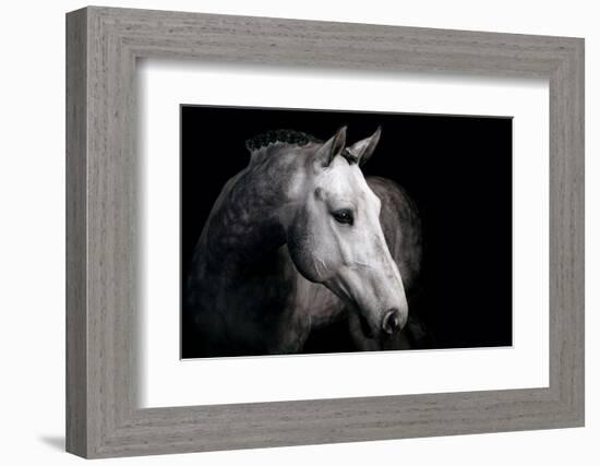 Horse-Fabio Petroni-Framed Photographic Print