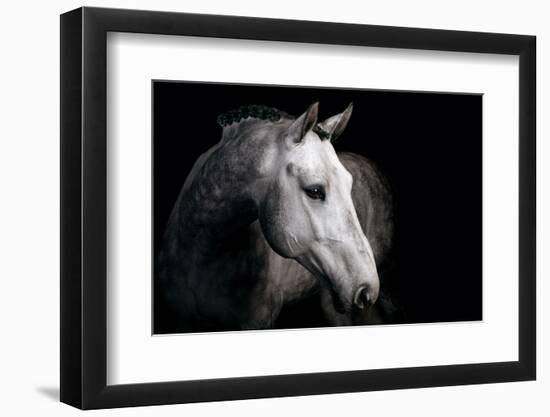 Horse-Fabio Petroni-Framed Photographic Print