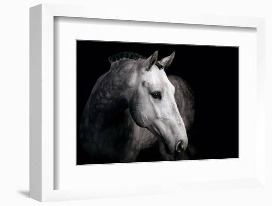 Horse-Fabio Petroni-Framed Photographic Print