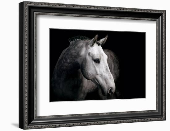 Horse-Fabio Petroni-Framed Photographic Print