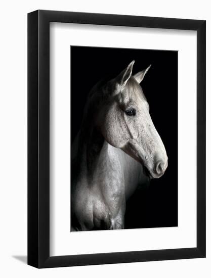 Horse-Fabio Petroni-Framed Photographic Print