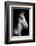 Horse-Fabio Petroni-Framed Photographic Print