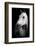 Horse-Fabio Petroni-Framed Photographic Print