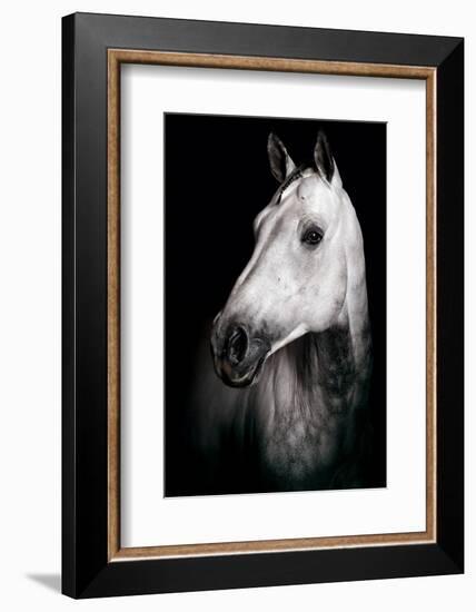 Horse-Fabio Petroni-Framed Photographic Print