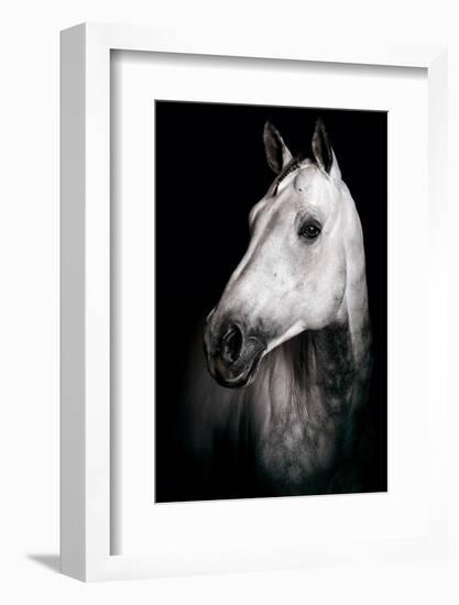 Horse-Fabio Petroni-Framed Photographic Print