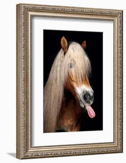 Horse-Fabio Petroni-Framed Photographic Print