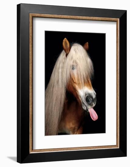 Horse-Fabio Petroni-Framed Photographic Print