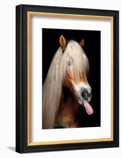 Horse-Fabio Petroni-Framed Photographic Print