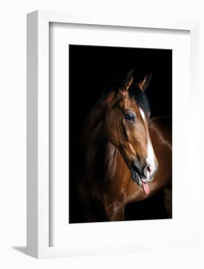 Horse-Fabio Petroni-Framed Photographic Print