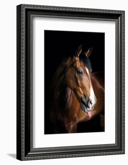 Horse-Fabio Petroni-Framed Photographic Print