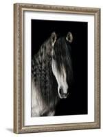 Horse-Fabio Petroni-Framed Photographic Print