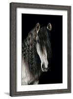 Horse-Fabio Petroni-Framed Photographic Print
