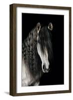 Horse-Fabio Petroni-Framed Photographic Print