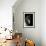 Horse-Fabio Petroni-Framed Photographic Print displayed on a wall