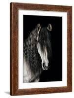 Horse-Fabio Petroni-Framed Photographic Print