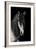 Horse-Fabio Petroni-Framed Photographic Print
