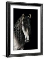 Horse-Fabio Petroni-Framed Photographic Print