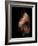 Horse-Fabio Petroni-Framed Photographic Print