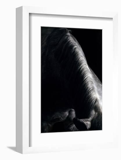 Horse-Fabio Petroni-Framed Photographic Print