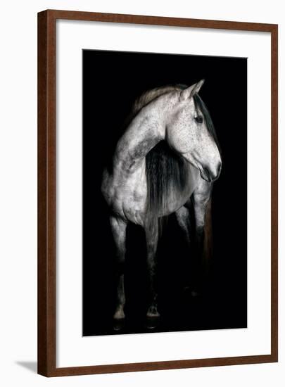 Horse-Fabio Petroni-Framed Photographic Print