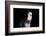 Horse-Fabio Petroni-Framed Photographic Print