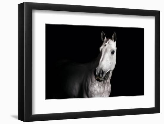 Horse-Fabio Petroni-Framed Photographic Print