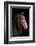 Horse-Fabio Petroni-Framed Photographic Print