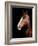 Horse-Fabio Petroni-Framed Photographic Print