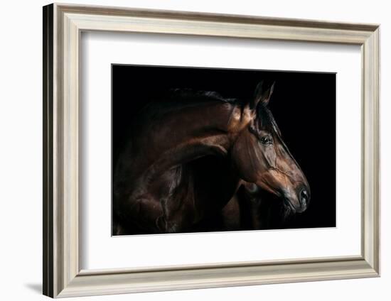 Horse-Fabio Petroni-Framed Photographic Print