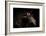 Horse-Fabio Petroni-Framed Photographic Print