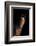 Horse-Fabio Petroni-Framed Photographic Print