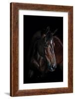 Horse-Fabio Petroni-Framed Photographic Print
