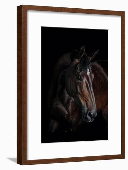 Horse-Fabio Petroni-Framed Photographic Print